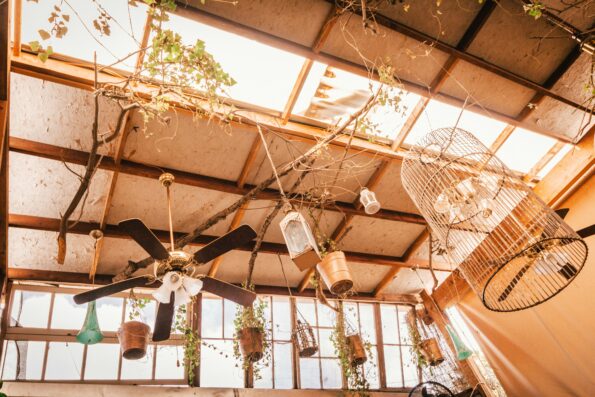 Lighting and Decor