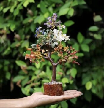 Crystal Tree for Positive Energy